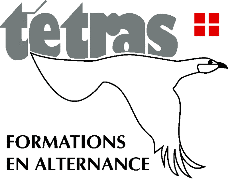 logo-tetras-formation-en-alternance