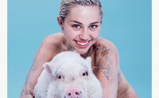 Couverture du magazine "Paper" avec Miley Cyrus qui pose nue avec sa truie.