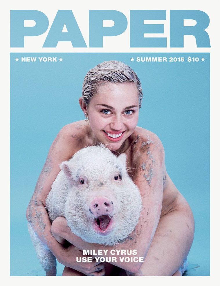 Couverture du magazine "Paper" avec Miley Cyrus qui pose nue avec sa truie.