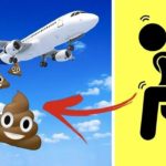 Un avion qui perd des émois caca avec un logo de personnage qui est assis sur des toilettes.