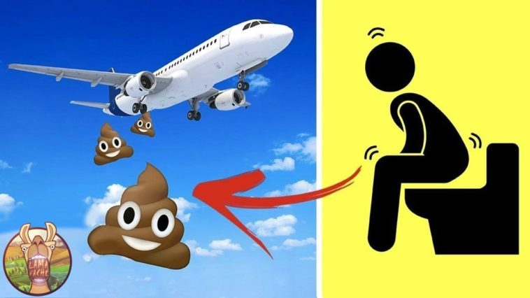 Un avion qui perd des émois caca avec un logo de personnage qui est assis sur des toilettes.